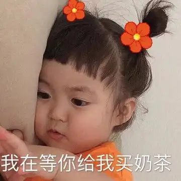 币哥表情包我要你
