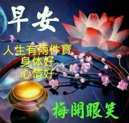  最新的唯美暖心早上好问候语录,早安祝福语短信图片表情带字