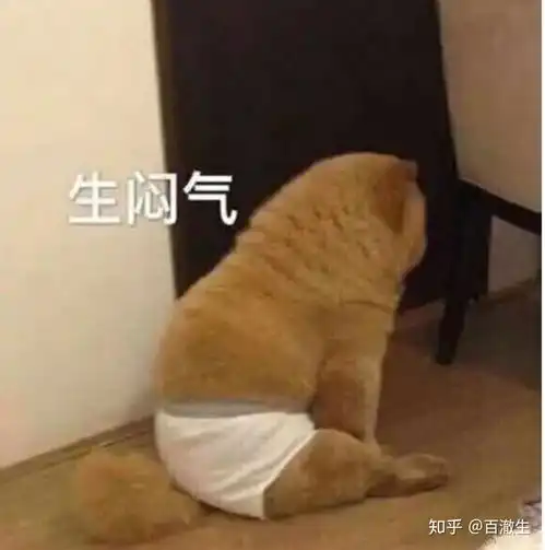  影视史上有哪些经典的即兴表演镜头