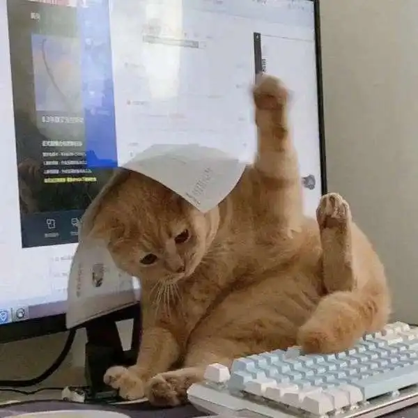  有哪些值得分享的微信头像