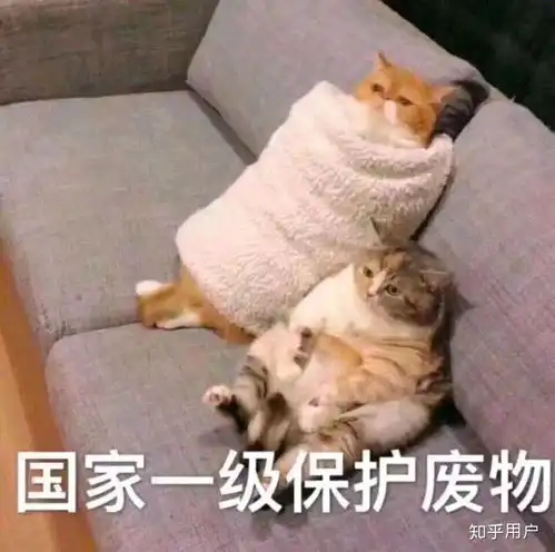  1收藏夹