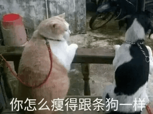  搞笑图片哥们知道我单身,特意让我接伴娘