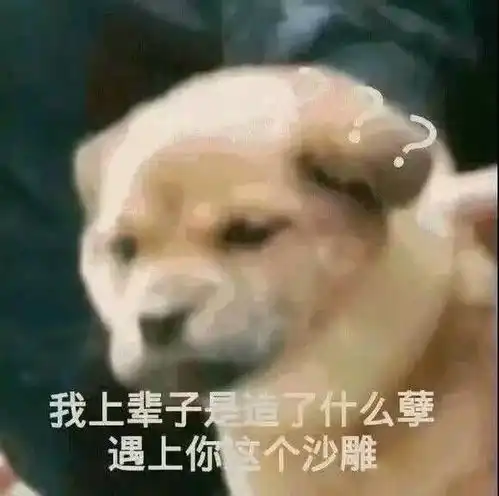 表情包沙雕表情包终于营业啦