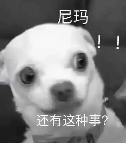  搞笑表情包妹妹一箭射中了我的心