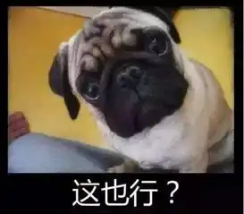  就在南宁,碰瓷都碰到狗身上了