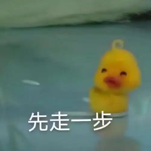  鸭鸭表情包先走一步