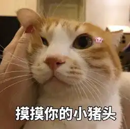  捏脸的表情包你给我乖一点