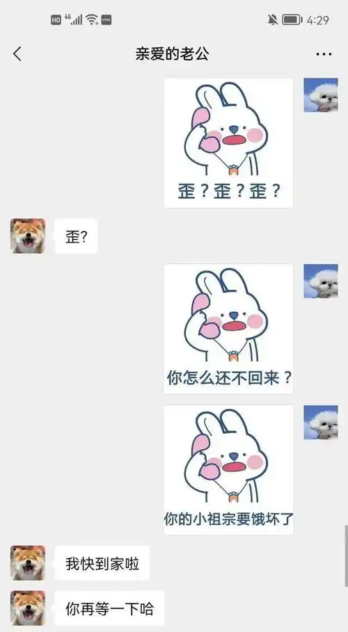  和对象聊天时发过的表情包,太好笑了吧哈哈哈哈