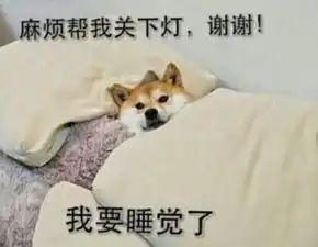  雁翔路树林里现一被弃女婴脐带未剪四肢已发黑