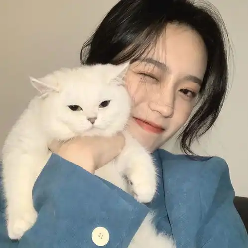  壁纸头像随更