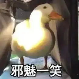  今天也要营业鸭,15000一只的网红鸭,要吸吗