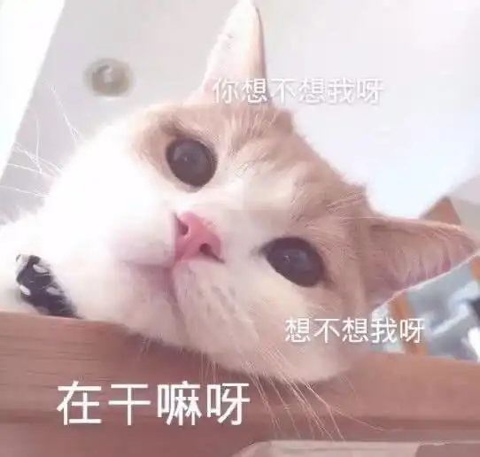 cheese狗子表情包ems