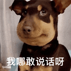  别说了表情包