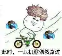  dnf骑单车系列表情包乐单机