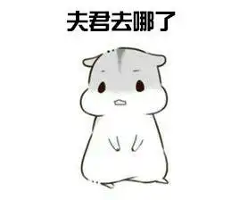  仓鼠夫妻