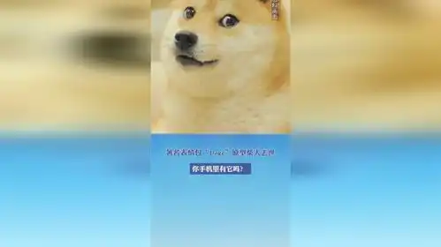 著名表情包doge原型柴犬去世,你手机里有它吗