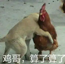 打狗狗表情包鸡年