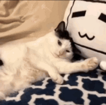  熊猫头表情包当舔狗你最积极