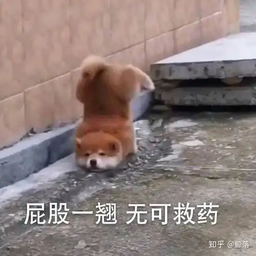  做过哪些打自己脸的事