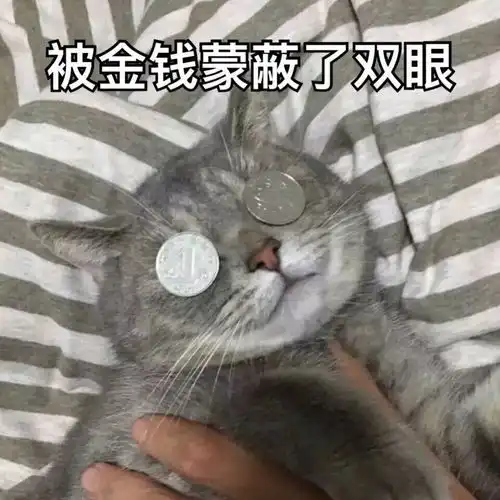  追随内心我的2018年度总结姚舜不二