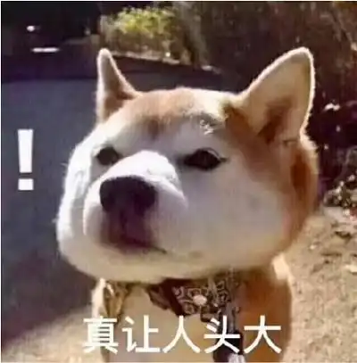  当民警又见到老面孔