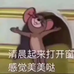  团团团团团视频直播全集团团团团团资料大全yy官方