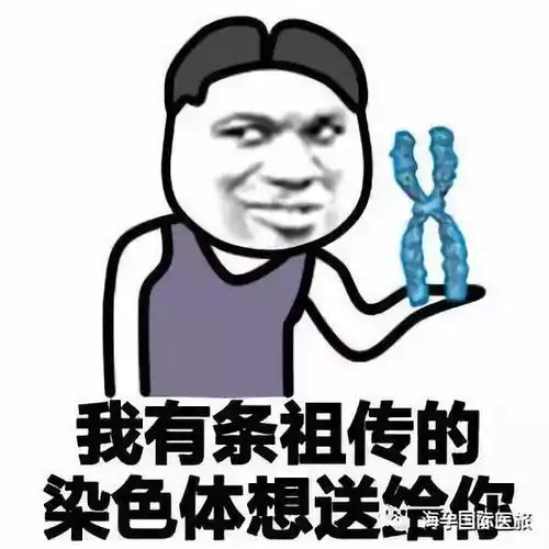 超污动态图斗图表情包手