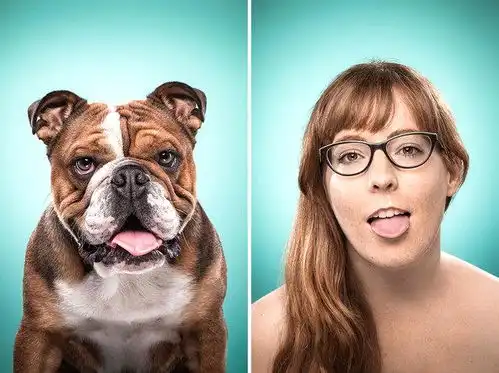  有其狗必有其主人宠物主人模仿爱犬表情照萌翻众人