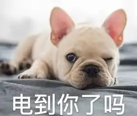  乾隆给猎犬画像雍正给爱犬设计服装