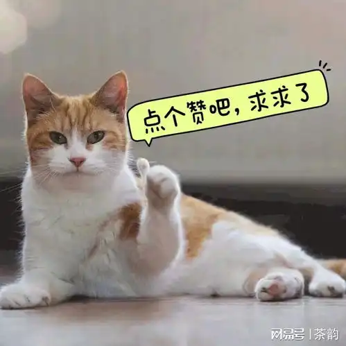  不经历风雨,怎能见彩虹