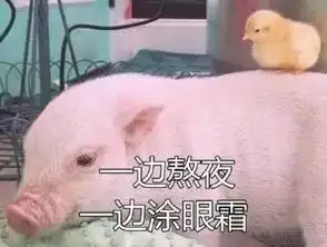  表情包别熬夜了,你喜欢的人已经睡了