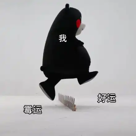  这是一篇有梗的年度总结