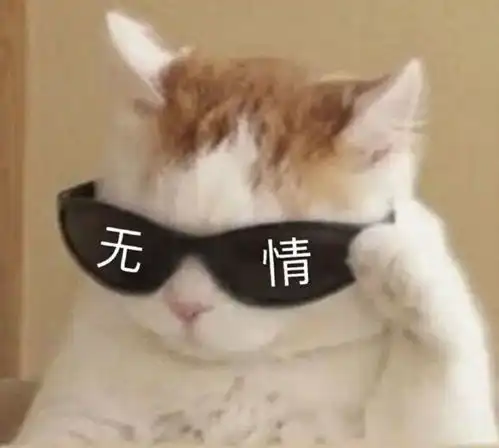  金秋上课通勤必备十几只实用又时尚的大容量包包,超能装