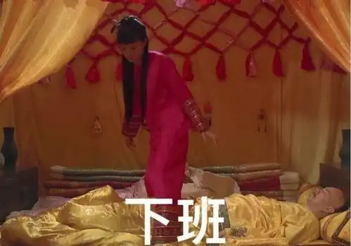  攒足10年的甄嬛传弹幕皇上播种皇后灭苗