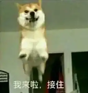  扫码摸警犬,啥情况为了这事,他们真的操碎了心