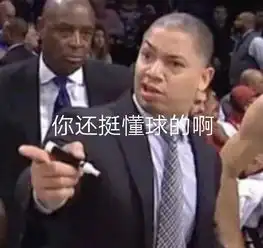 高傲表情包是谁泰伦