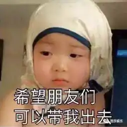  表情包扛把子我只服宋民国