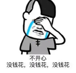  双十一没钱表情包