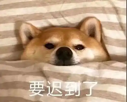 招新这是一份紧密围绕着体育精神的骨干招新