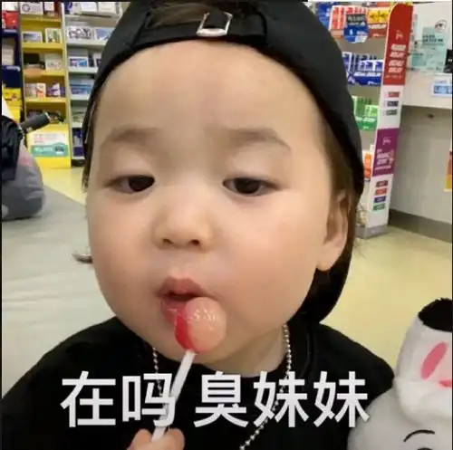  在吗臭妹妹瞅啥呢臭弟弟表情包