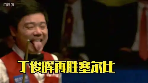  丁俊晖再胜塞尔比失误后表情包令人啼笑皆非,结局万万没想到