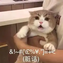  毛肚牛肚百叶黄喉...你们都哪位啊国庆涮火锅,一篇讲清楚