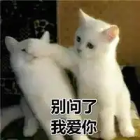  老公我爱你图片表情包