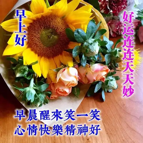  漂亮早上好问候语祝福表情图片早上好短信祝福语录最新版