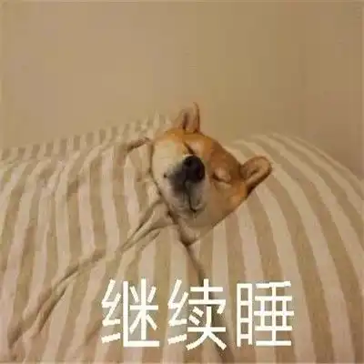 柴犬挨打表情包被窝