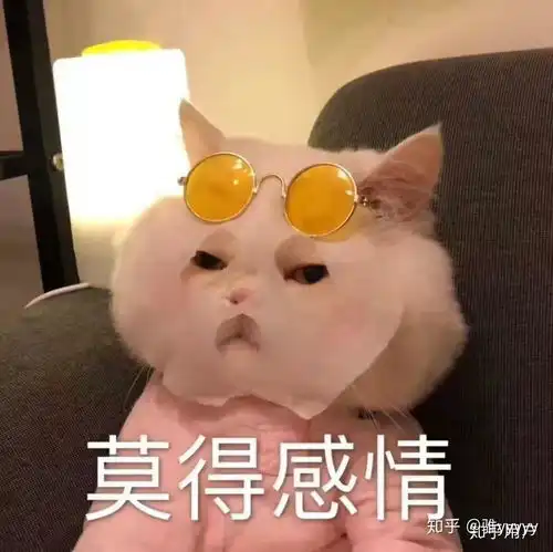  如何看待女生长期的玩探探