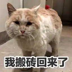  有木有适合上班搬砖的表情包
