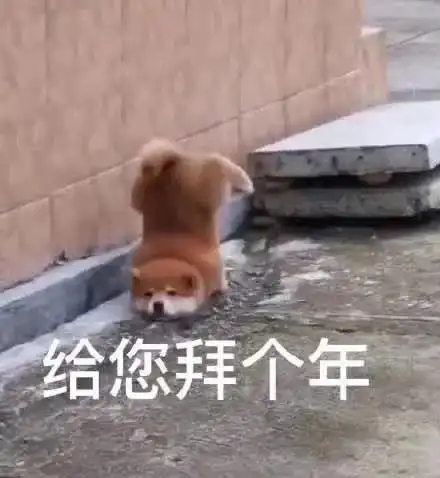 我又没钱表情包文案
