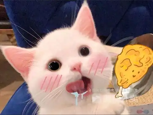  多年搜刮来的表情包