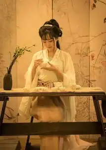  硕士毕业,中国姑娘在悉尼街头送外卖,却连央视都被美哭了